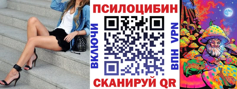 Галлюциногенные грибы мухоморы  магазин продажи   Камышлов 