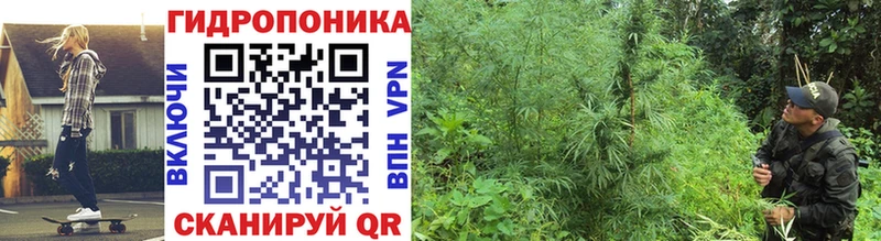 Канабис семена Камышлов